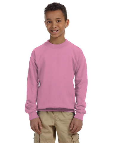 PNB004Y TODDLERS AND YOUTH SWEATSHIRT