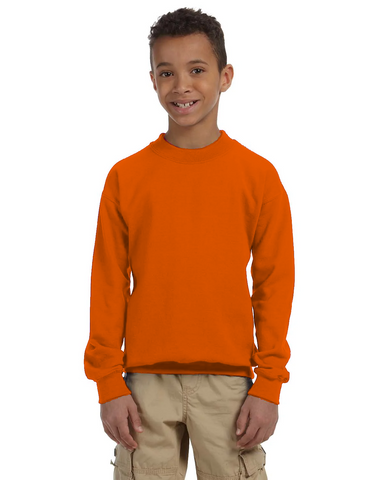 PNB004Y TODDLERS AND YOUTH SWEATSHIRT